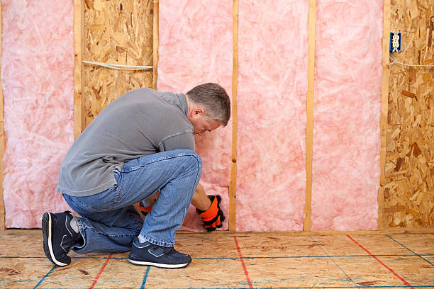 Best Insulation Maintenance and Repair in Billings, MT